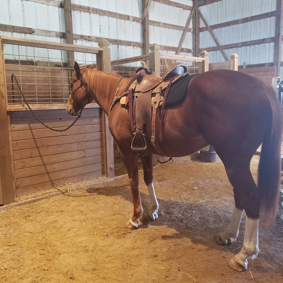 🦇Meet your Posher, Tristin🦇 - Picture 2 of 4